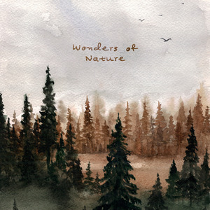 成人吸奶美女好看视频破解版下载
